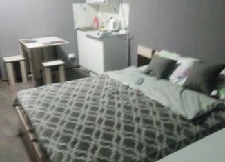 Сдам 1-комнатную квартиру, 20 м2, Московская область, улица Маяковского, 5