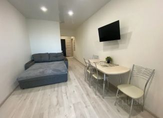 Сдаю в аренду квартиру студию, 30 м2, Сочи, улица Бытха, 41