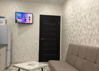 1-ком. квартира в аренду, 40 м2, Таганрог, улица Адмирала Крюйса, 19