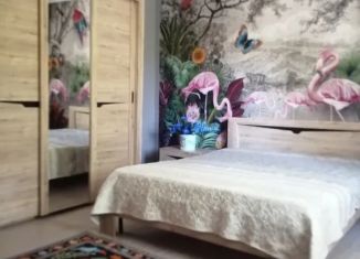 Двухкомнатная квартира в аренду, 50 м2, Ростовская область, Греческая улица, 14