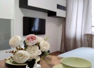 Сдаю в аренду 1-ком. квартиру, 25 м2, Ленинградская область, Венская улица, 4к2
