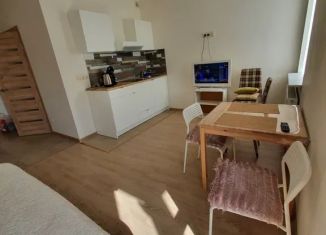 Сдаю в аренду квартиру студию, 28 м2, Ростов-на-Дону, улица Ерёменко, 108с2