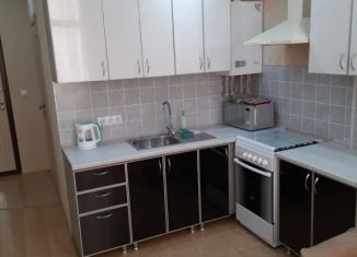 Сдаю в аренду квартиру студию, 25 м2, Сочи, Крымская улица, 65Б