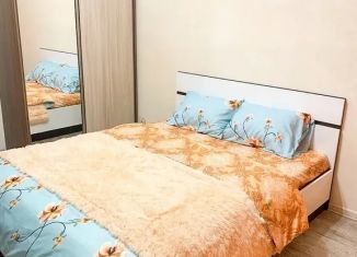 Сдается в аренду 2-ком. квартира, 46 м2, Московская область, улица 9 Мая, 4Ак1