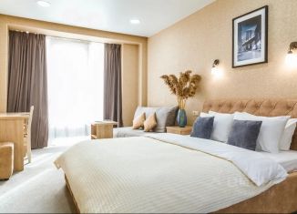Аренда квартиры студии, 21 м2, Краснодарский край, проезд Голубые Дали, 9