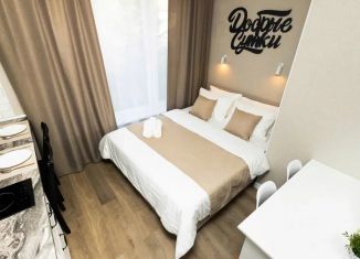 Квартира в аренду студия, 18 м2, Московская область, Битцевский проезд, 11