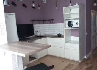 Сдам в аренду 1-ком. квартиру, 40 м2, Ленинградская область, Парковый проезд, 5