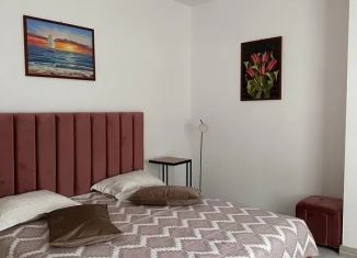 Сдается однокомнатная квартира, 45 м2, Дагестан, улица А. Абубакара, 10А