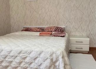 Однокомнатная квартира в аренду, 45 м2, Липецк, улица П.И. Смородина, 9А