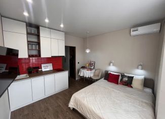 Аренда 1-ком. квартиры, 21 м2, Адыгея, улица К.А. Васильева, 2к2