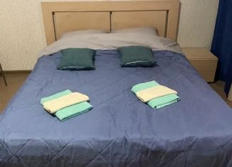 Сдам в аренду квартиру студию, 30 м2, Якутск, улица Кузьмина, 18, Гагаринский округ