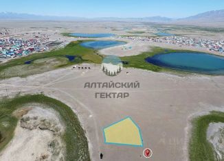 Продам участок, 15.96 сот., Республика Алтай