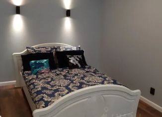 Сдам в аренду 1-ком. квартиру, 40 м2, Йошкар-Ола, улица Димитрова, 61