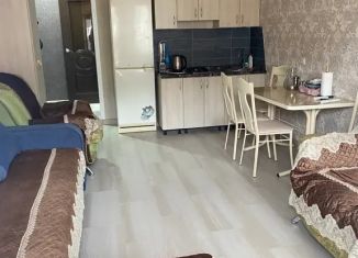 Сдача в аренду квартиры студии, 25 м2, Дагестан, улица имени Р. Зорге, 40А