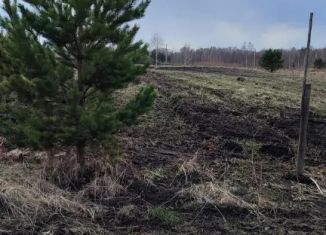 Продажа земельного участка, 10 сот., село Еловое, Берёзовая улица, 48А