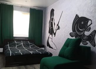 Сдаю в аренду 1-комнатную квартиру, 35 м2, Брянск, улица Димитрова, 120