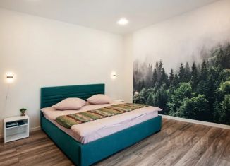Сдача в аренду дома, 300 м2, Республика Алтай, Айская улица, 2А