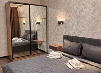 1-ком. квартира в аренду, 40 м2, Адыгея, улица К.А. Васильева, 1