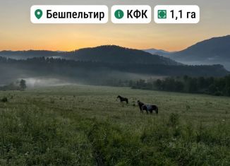 Продам земельный участок, 110 сот., Республика Алтай