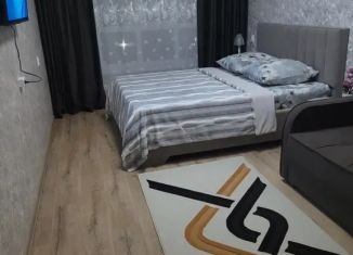 Сдается в аренду 1-комнатная квартира, 42 м2, Адыгея, улица Пирогова, 4