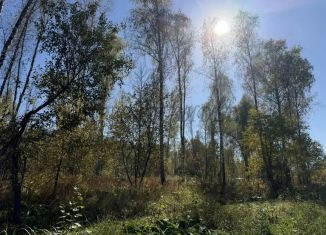 Продается земельный участок, 10 сот., Республика Алтай, Дорожная улица