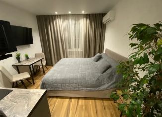 Сдаю квартиру студию, 24 м2, Адыгея, улица К.А. Васильева, 2к3