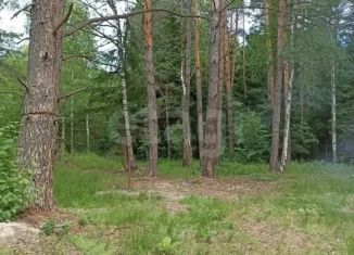 Продам участок, 9.1 сот., село Кокшайск, улица Энергетиков