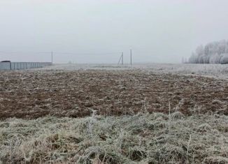 Участок на продажу, 21 сот., деревня Шеклянур, Советская улица, 74