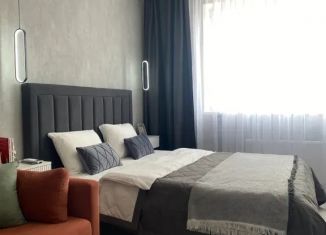 Сдам однокомнатную квартиру, 47 м2, Адыгея, улица К.А. Васильева, 1к6