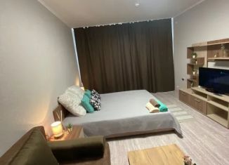 Сдается в аренду 1-ком. квартира, 42 м2, Адыгея, улица К.А. Васильева, 6