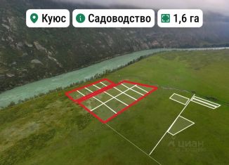 Продаю земельный участок, 160 сот., Республика Алтай, Центральная улица