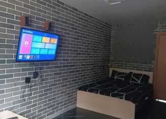 Аренда 1-комнатной квартиры, 36 м2, Брянск, улица Димитрова, 122