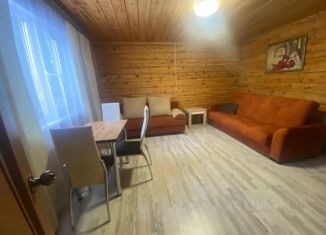 Сдача в аренду дома, 60 м2, село Артыбаш, Садовая улица, 2А