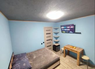 Дом в аренду, 20 м2, Республика Алтай, Трактовая улица, 44А