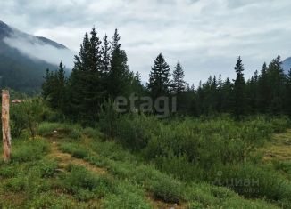 Продажа земельного участка, 12.81 сот., Республика Алтай, Лесная улица