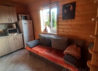 Сдам в аренду дом, 50 м2, поселок Заостровье, Молодёжная улица, 3