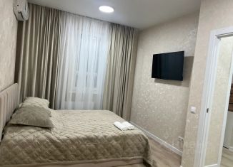 Сдаю 1-комнатную квартиру, 32 м2, Адыгея, улица К.А. Васильева, 2к4