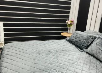 Сдаю в аренду квартиру студию, 32 м2, село Майма, улица Ленина, 59