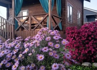 Аренда дома, 56 м2, Республика Алтай, Молодёжная улица, 31