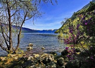 Продам участок, 41 сот., Республика Алтай