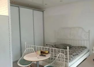 Сдача в аренду однокомнатной квартиры, 29 м2, Биробиджан, Уютная улица, 4