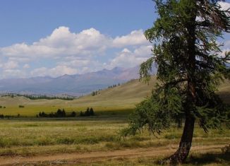 Земельный участок на продажу, 250 сот., Республика Алтай, Зелёная улица