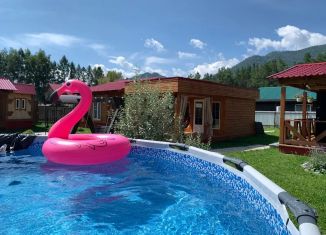 Сдача в аренду дома, 24 м2, Республика Алтай, Лесная улица, 29