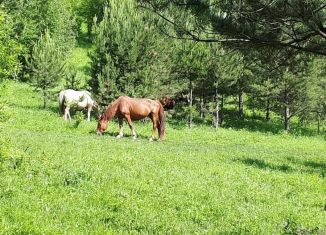 Продается земельный участок, 145 сот., Республика Алтай