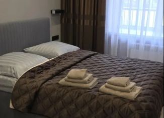 Сдам в аренду однокомнатную квартиру, 44 м2, Йошкар-Ола, улица Павленко, 53