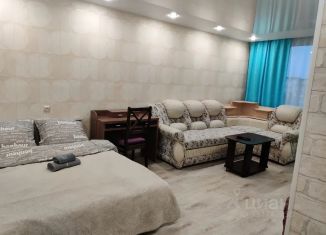 Сдаю в аренду 1-комнатную квартиру, 47 м2, Удачный, микрорайон Новый Город, 11