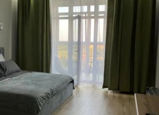Сдается в аренду квартира студия, 34 м2, Брянск