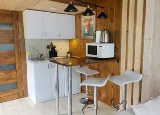 Сдам дом, 23 м2, Республика Алтай, Луговая улица