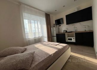 Квартира в аренду студия, 28 м2, Сыктывкар, улица Карла Маркса, 131