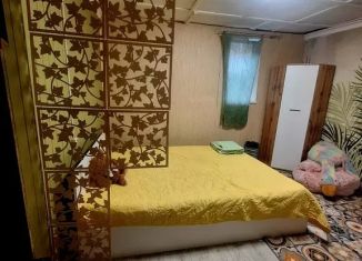 Дом в аренду, 31 м2, Ленинградская область, СНТ Сарженка-3, 174